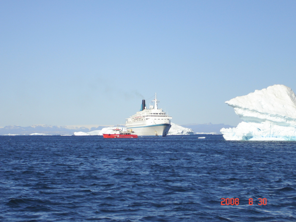 Albatros vor Ilulissat