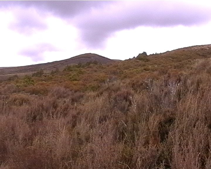 Tongariro NP